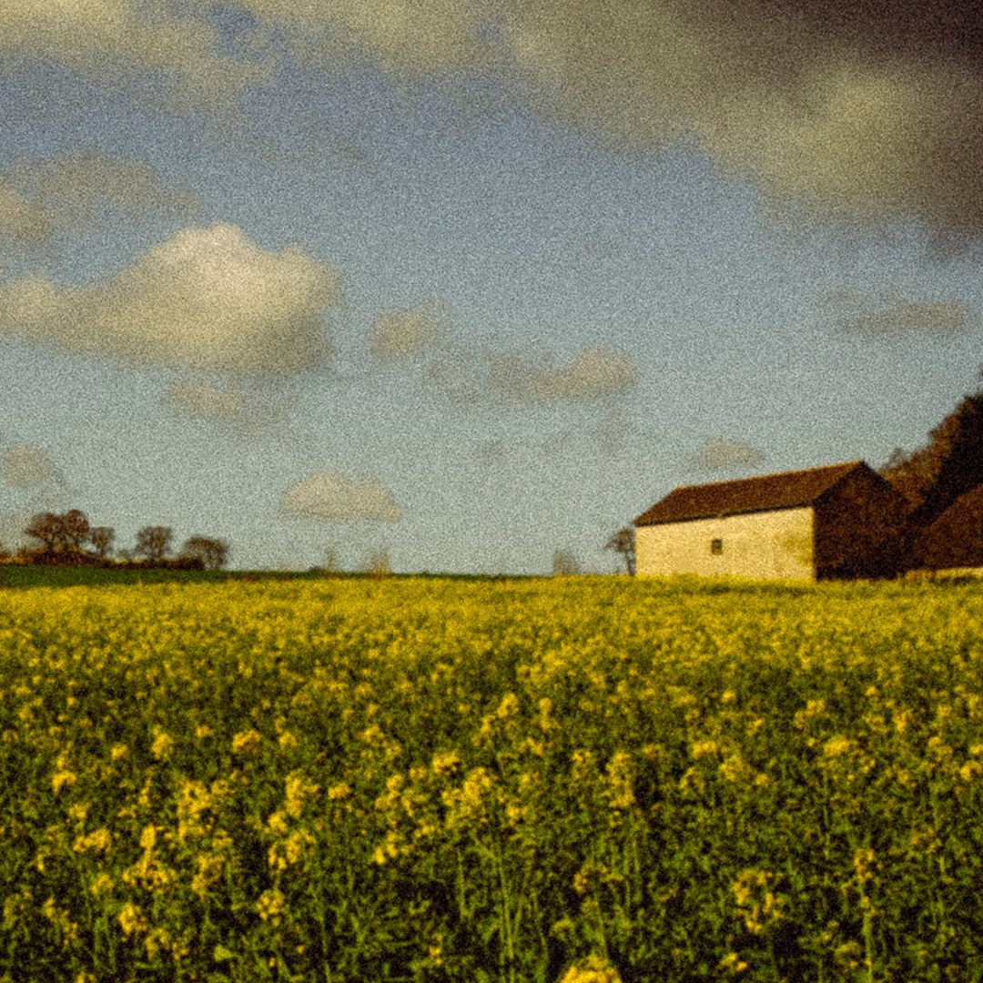 Photographie de Stéphane Mahé, exposition « (my little) Odyssey » (2 sur 4)