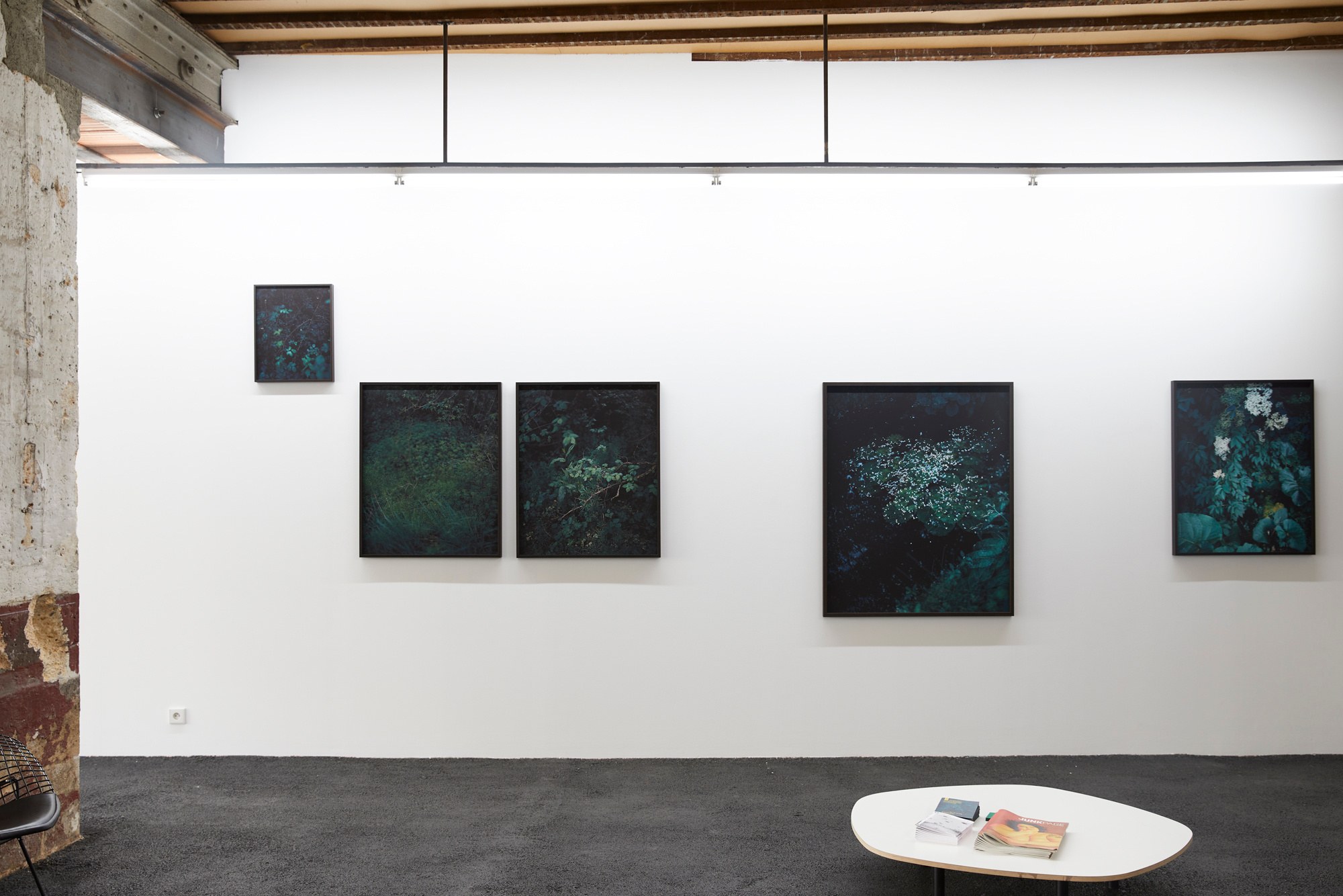 Photographie de Cécile Genest, exposition « À nos terres troubles » (6 sur 12)