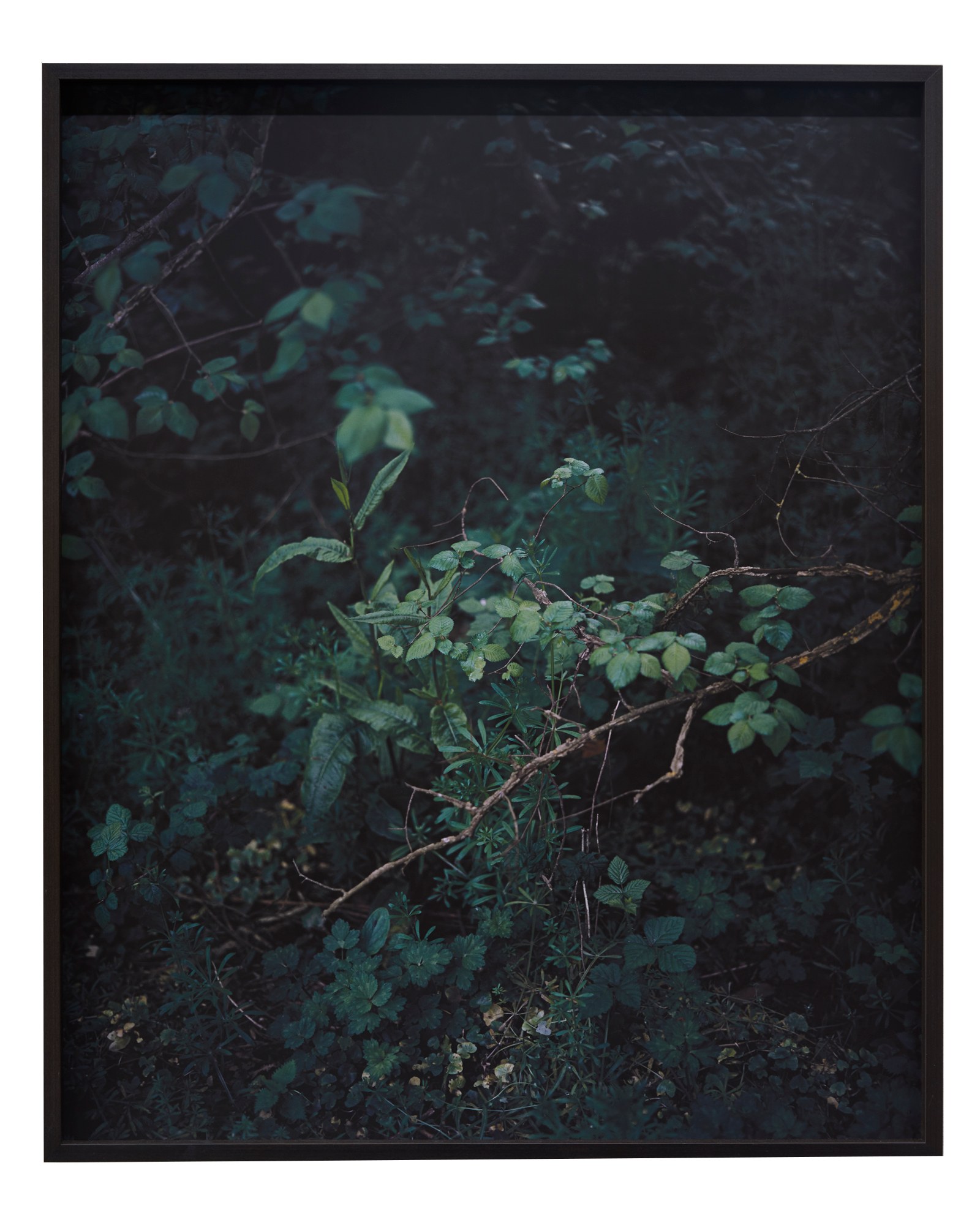 Photographie de Cécile Genest, exposition « À nos terres troubles » (10 sur 12)