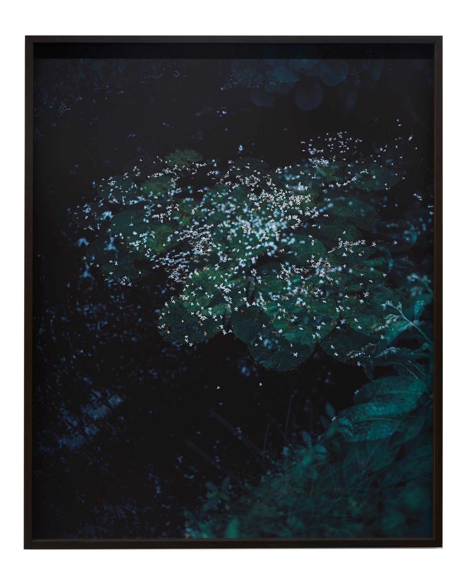 Photographie de Cécile Genest, exposition « À nos terres troubles » (8 sur 12)