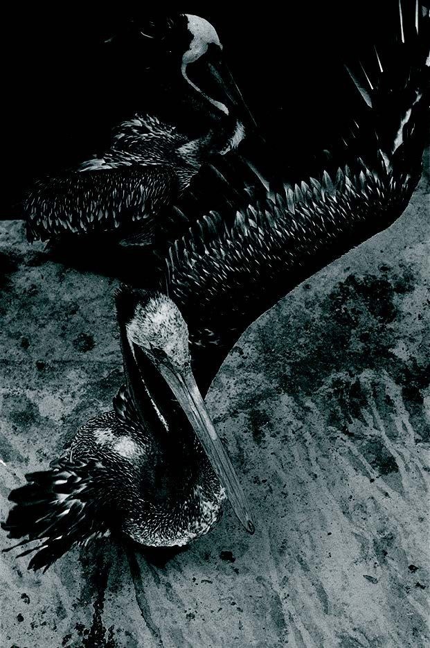Photographie de Anne-Lise Broyer, exposition « L’eau noire est le tableau » (2 sur 6)