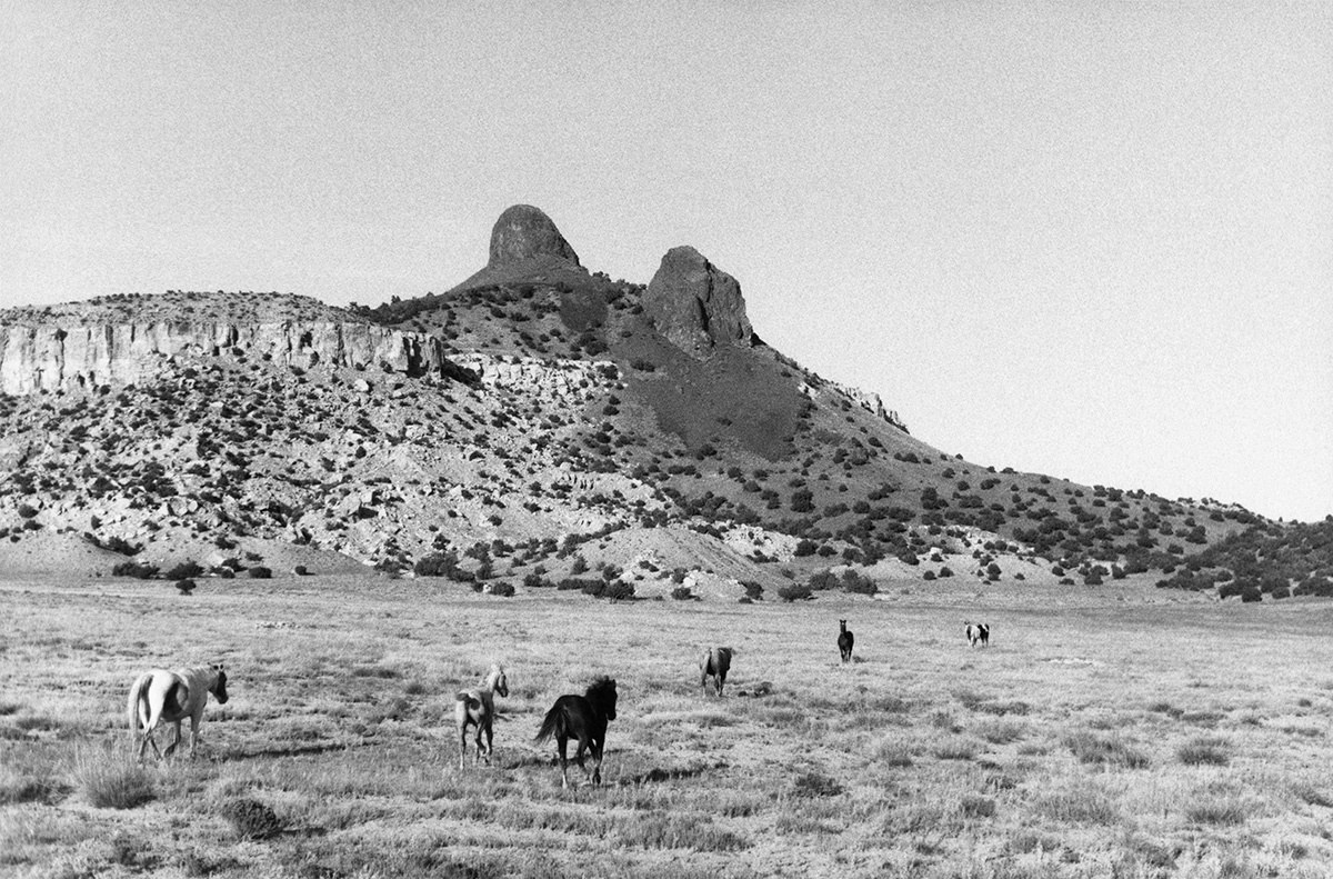 Photographie de Bernard Plossu, exposition « Les jardins de poussière » (3 sur 4)