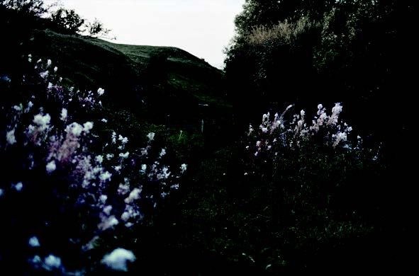 Photographie de Anne-Lise Broyer, exposition « L’eau noire est le tableau » (3 sur 6)