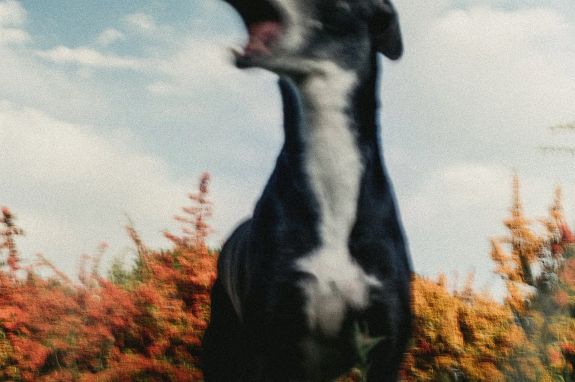 Photographie de Jonathan Bertin, exposition « Impressionism » (4 sur 6)
