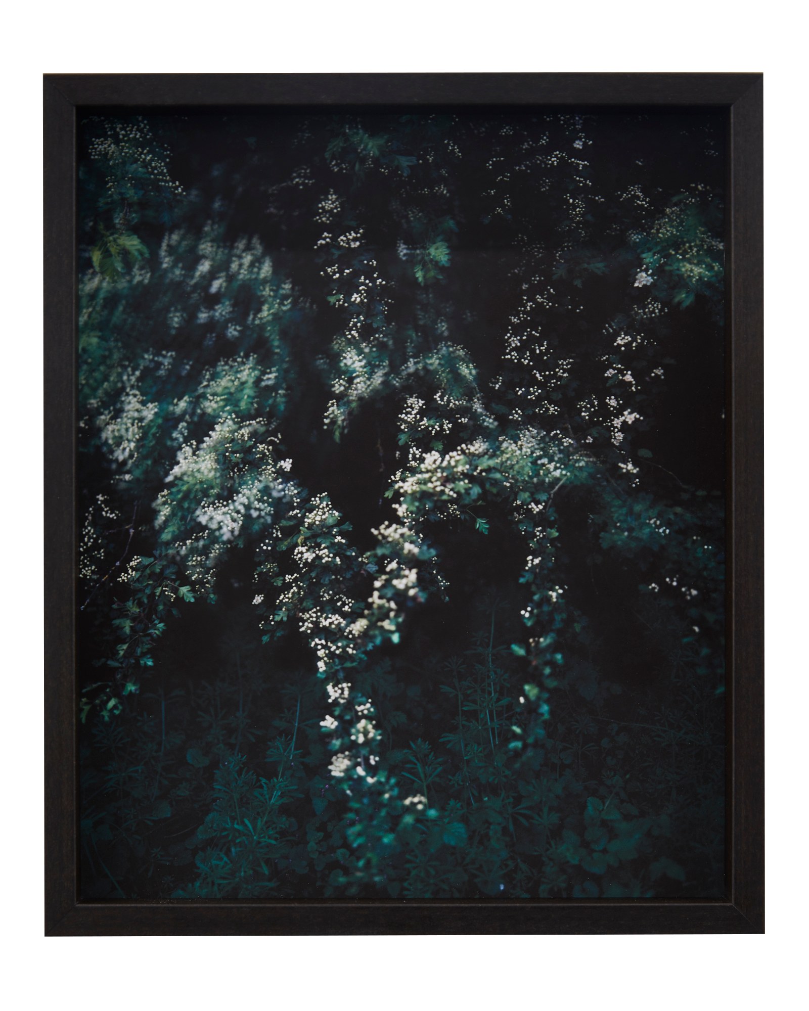 Photographie de Cécile Genest, exposition « À nos terres troubles » (12 sur 12)