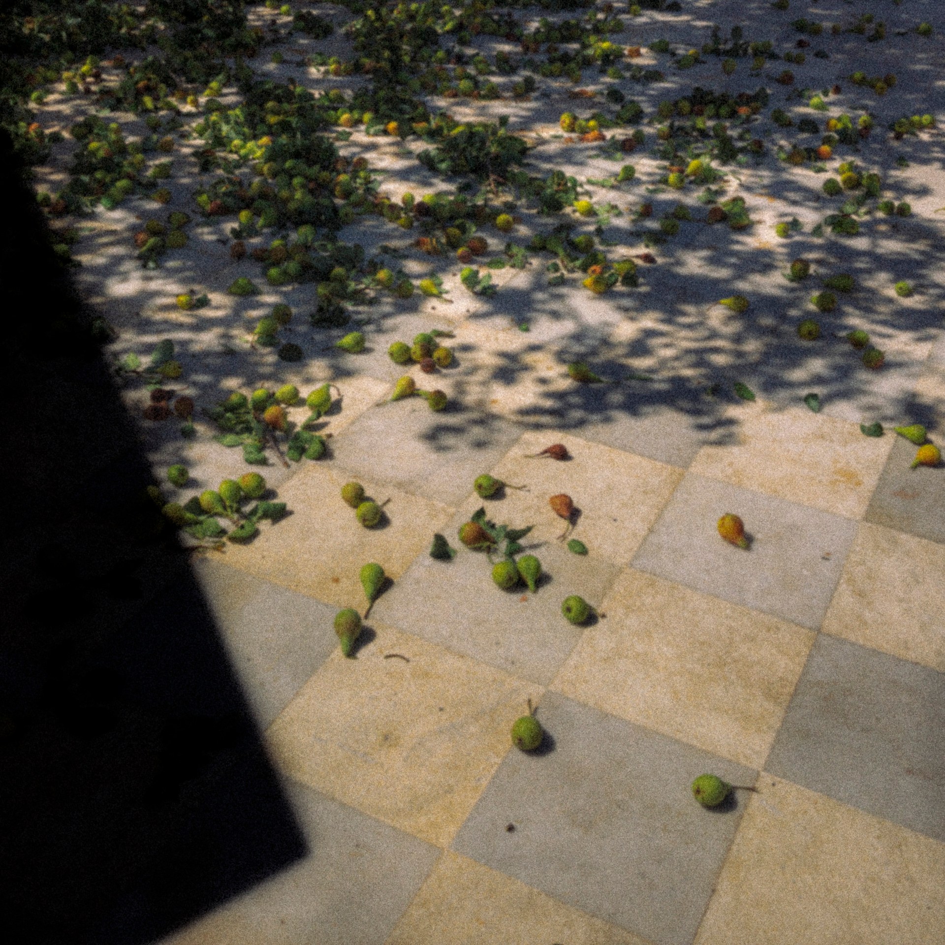 Photographie de Stéphane Mahé, exposition « (my little) Odyssey » (3 sur 4)