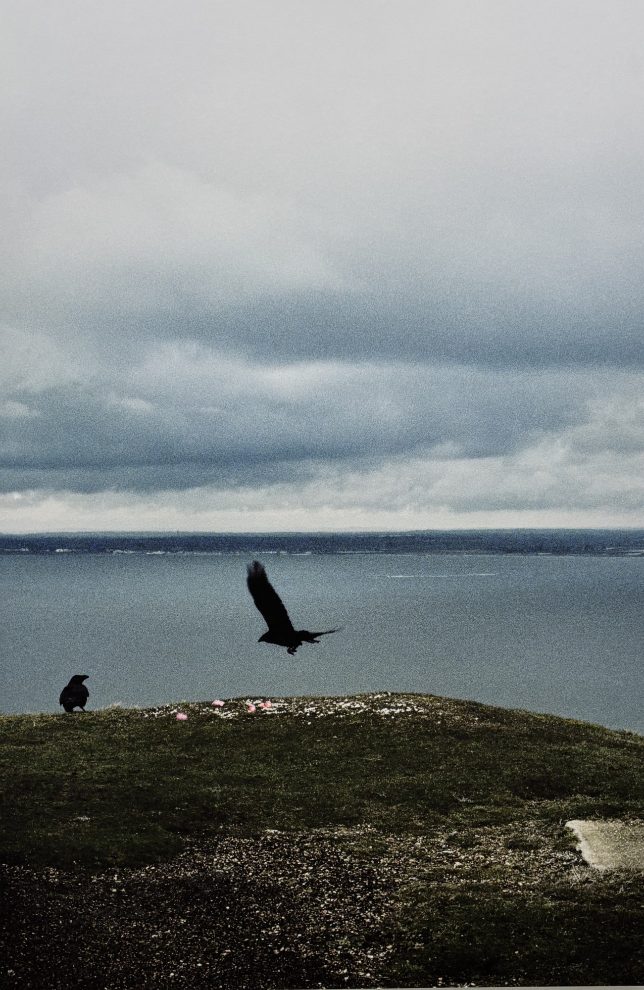 Photographie de Anne-Lise Broyer, exposition « L’eau noire est le tableau » (9 sur 12)