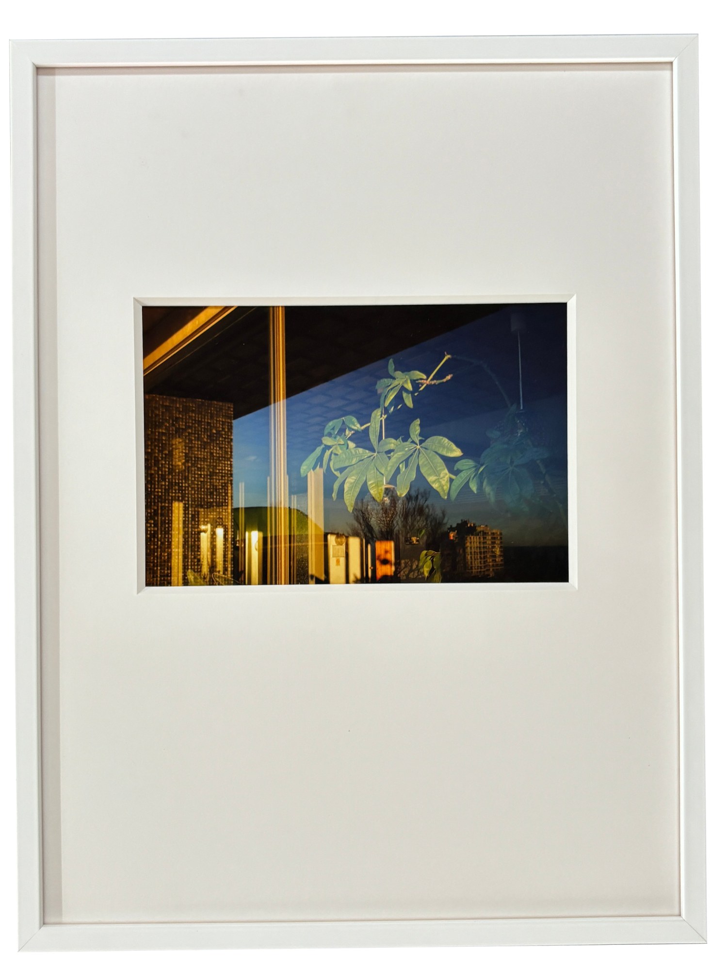 Photographie de Roberto Badin, exposition « Après l’été » (12 sur 12)