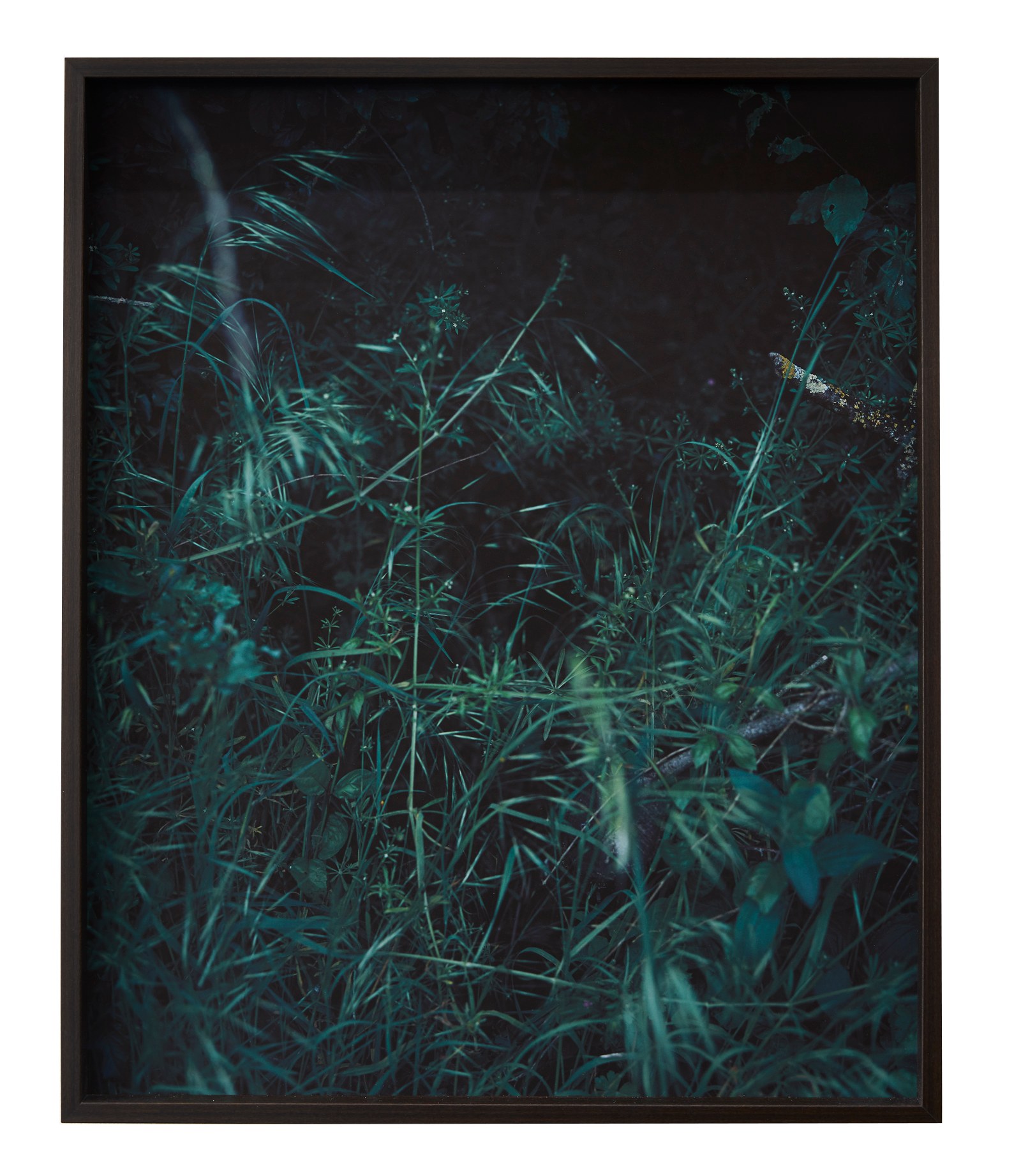 Photographie de Cécile Genest, exposition « À nos terres troubles » (9 sur 12)