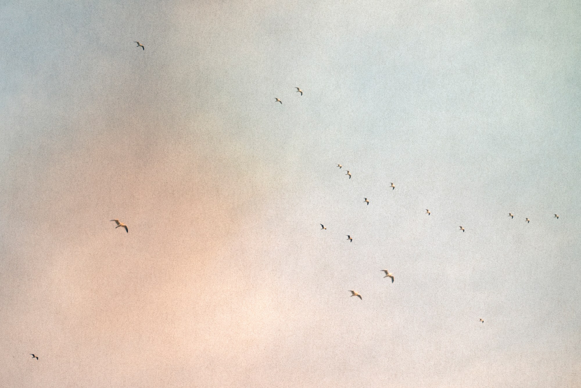Photographie de Marine Lécuyer, exposition « Hier, poussés par les vents » (8 sur 12)