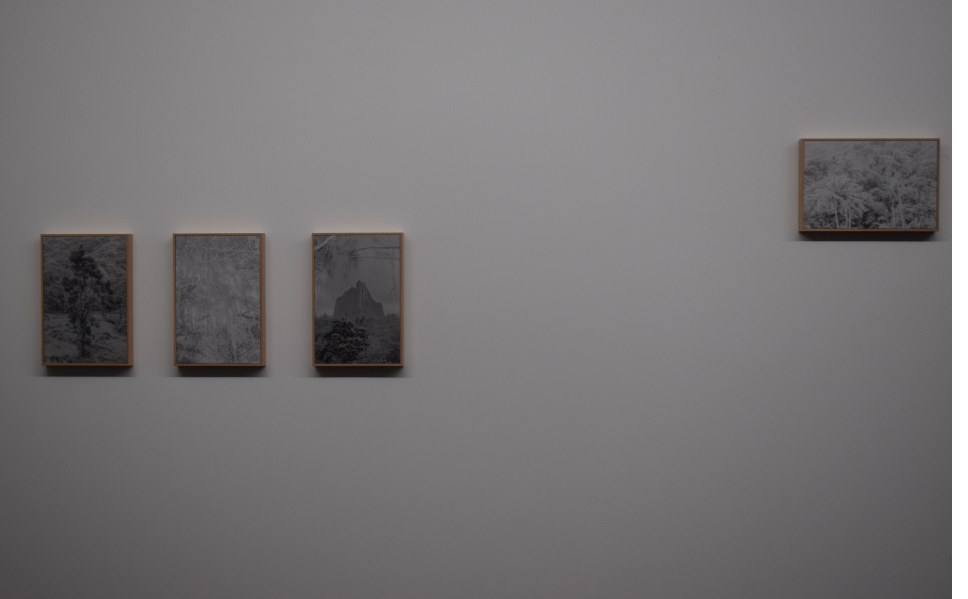 Photographie de Letizia Le Fur, exposition « Le crépuscule des lieux et Décolorisation » (7 sur 12)