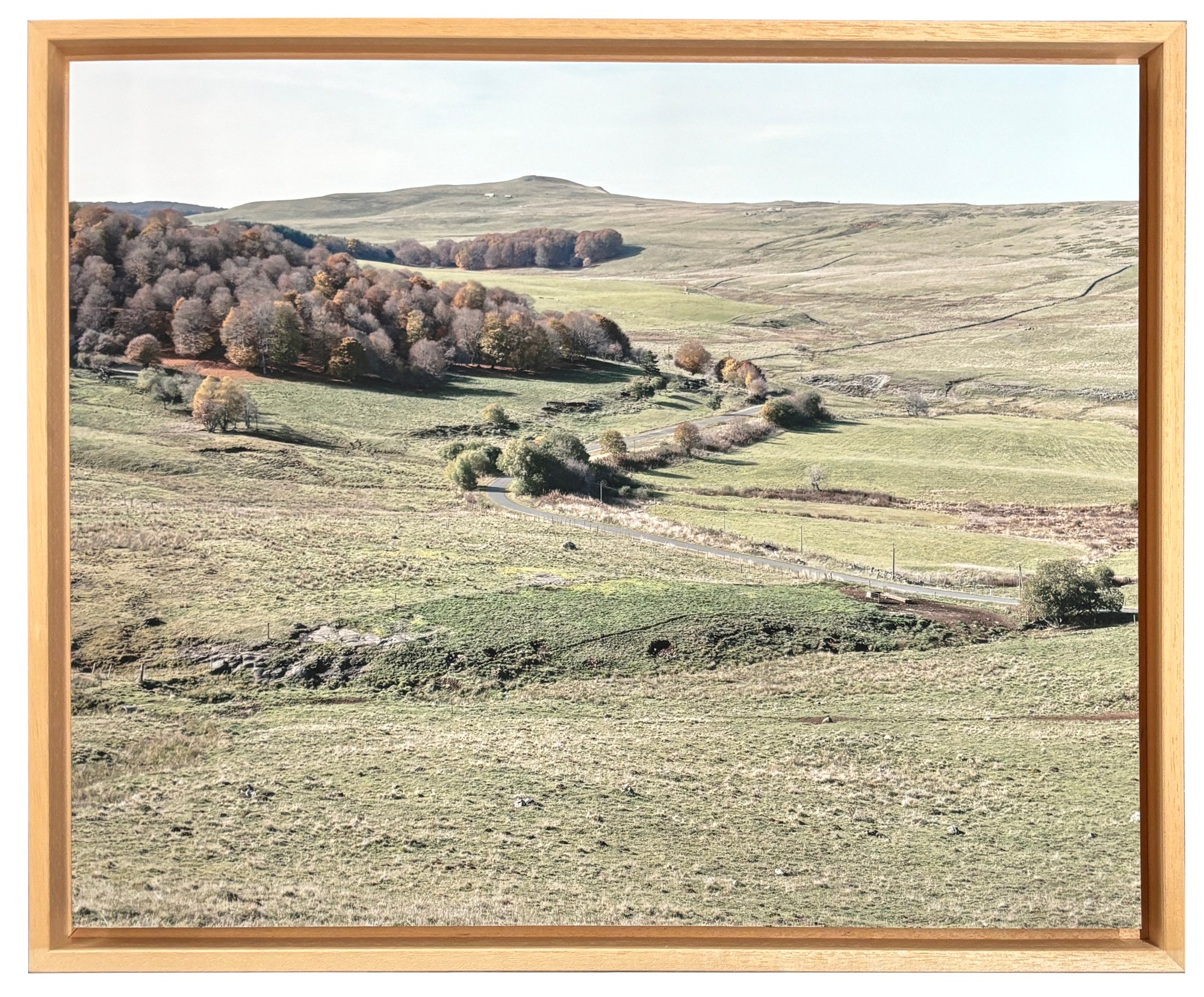 Vincent Bengold, « Blanche Aubrac | Terre Promise »